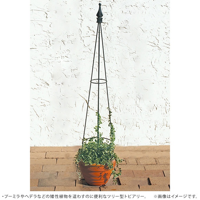 ����� �ȥԥ��꡼ M �֥�å� �����ǥ˥󥰥ȥ�ꥹ �ե���/�Ĥ�Х� ����/�ĥ꡼��/��ʪ �ĥ�/��碌��/��ñ ���� ��/