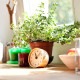 Lemnos Υ ֤   MUKU desk clock  ֻ   ƥꥢ  ʥ Ų Ť ̲  ץ쥼 ե   ̵
