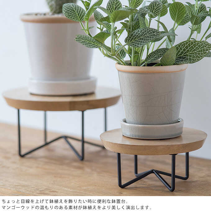 �ե�������� ���� ���� �������� 20cm �ץ�󥿡�������ɥ��ġ��� �����ҡ��ơ��֥� �����ɥơ��֥�/ȭ����/�ץ�󥿡���/�� �̲�/���տ�ʪ ���� ����/����ץ� ���ä���/����ƥꥢ �������/���տ�ʪ/