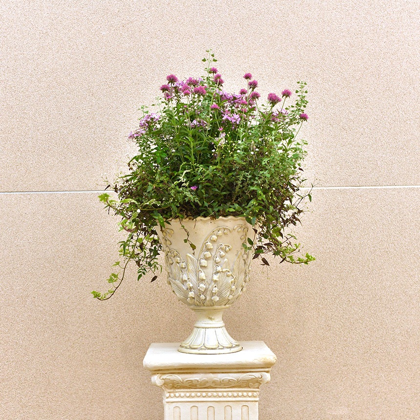 ȭ ƥ ץ󥿡 κ餯 ֥å L ⤵33cm  ץ󥿡С å׷ ȭС  󤻿 ֥ ꤢ С  ɥå     ̵