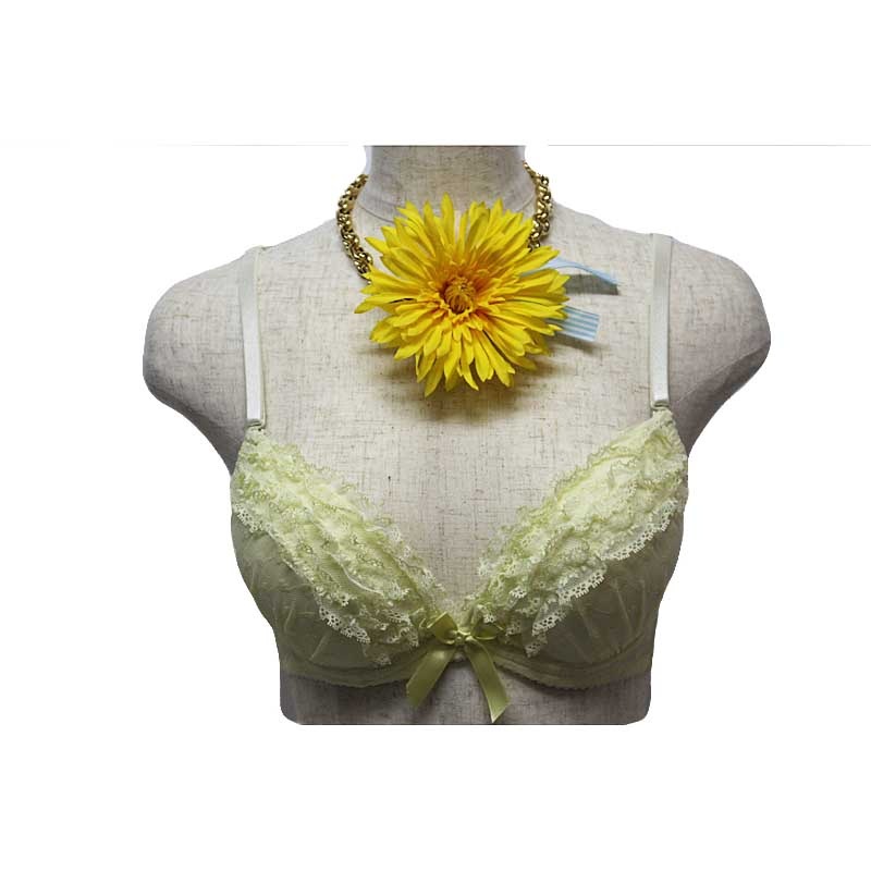 Lingerie(��󥸥��꡼)��BRRA&PANTIES SET