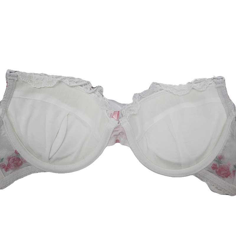 Lingerie(��󥸥��꡼)��BRRA&PANTIES SET