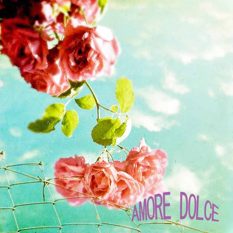 AMORE DOLCE ���⡼�졡�ɥ����