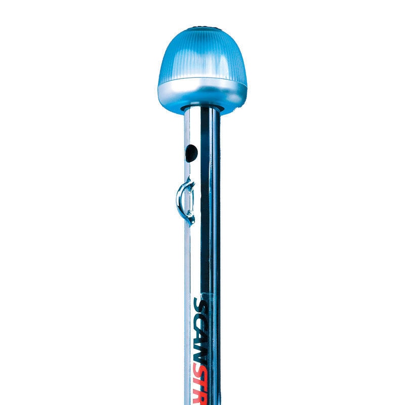 SC113����ʥӥ饤�ȥޥ����