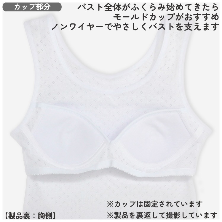販売数累計60万セット突破！【女の子】モールドカップ付きインナー　サラサラコットン/パターンメッシュ　２枚組　白/シンプル　140～165cm 胸二重【綿100％/吸水速乾】
