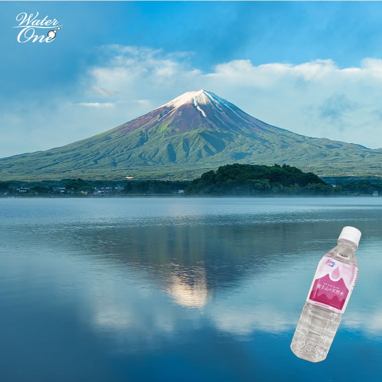 WaterOne ウォーターワン 富士山の天然水 ぺットボトル500ml×20本