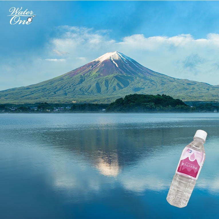 WaterOne ウォーターワン 富士山の天然水 ぺットボトル500ml×20本