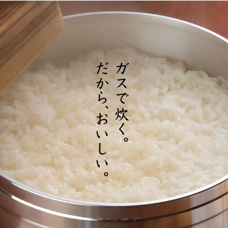 パロマ ガス炊飯器 ステンレスタイプ シルバー 10合&50cm