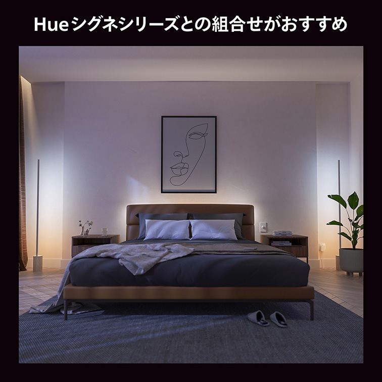 フィリップス Hue グラデーションライトリボン ベースキット2m