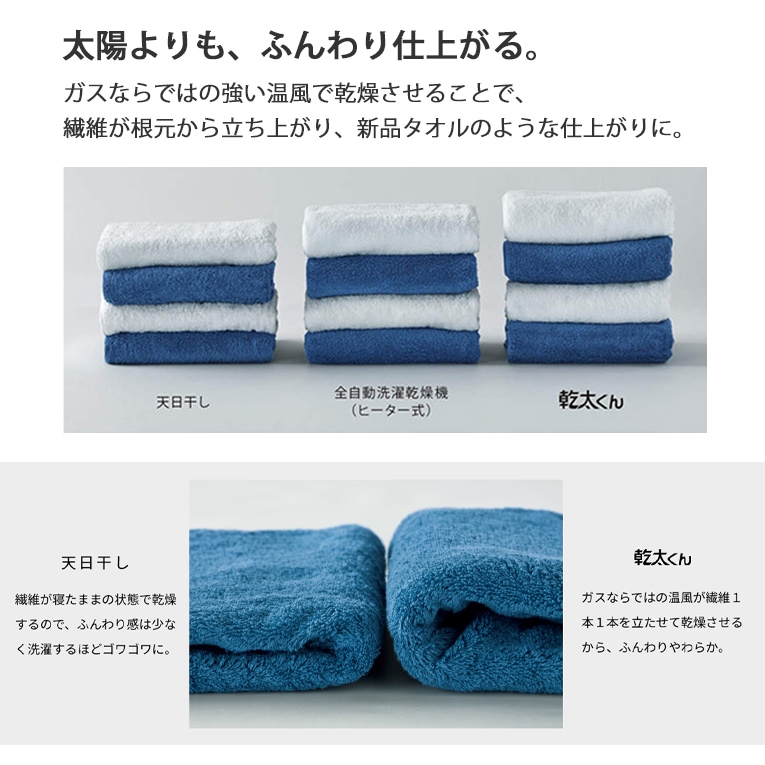 リンナイ 家庭用 ガス衣類乾燥機 乾太くん スタンダードタイプ RDT-80