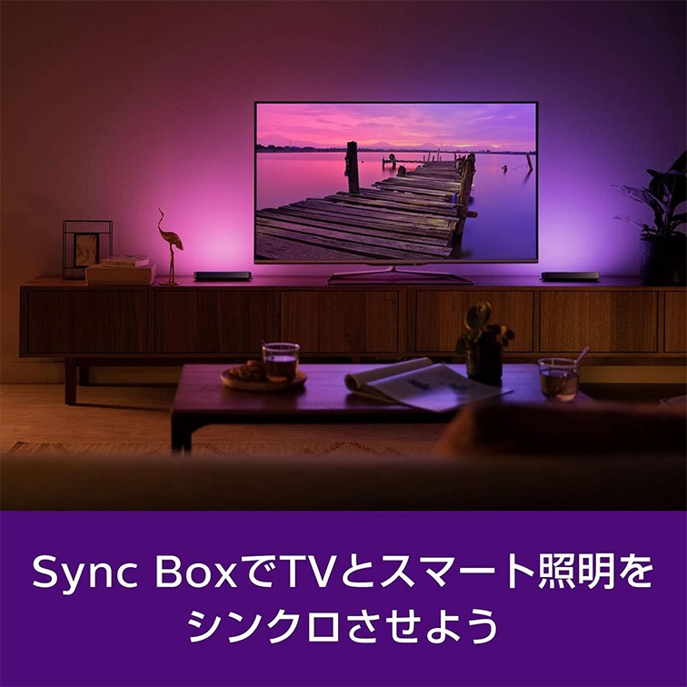 【美品/専用箱有/備品完備】フィリップスヒュー　シンクボックス フィリップス Hue Play HDMI シンクボックス | インテリア,照明