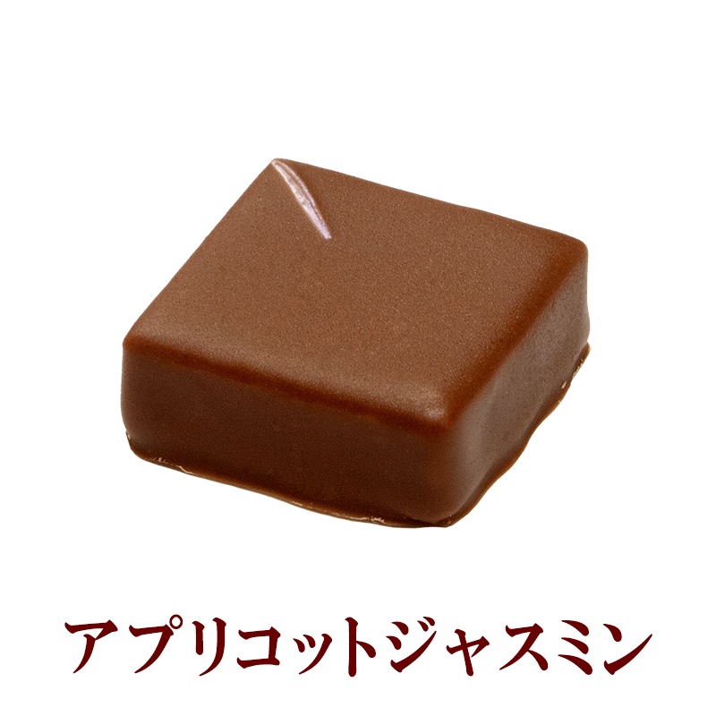 ショコラアソート　ティエドール