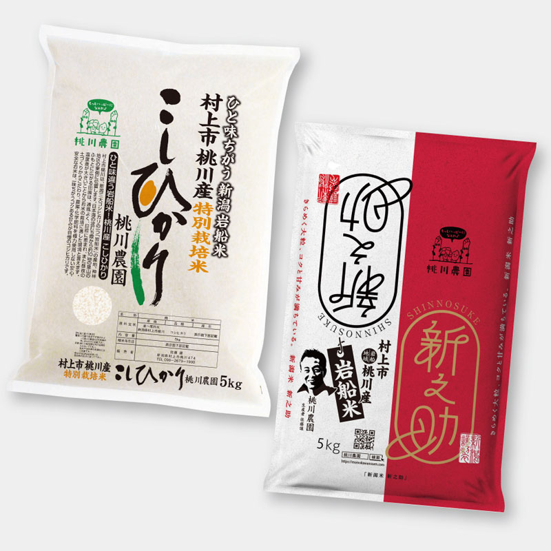 【令和6年産】村上市桃川産　岩船米10kgセット（特別栽培コシヒカリ５kg、新之助５kg）