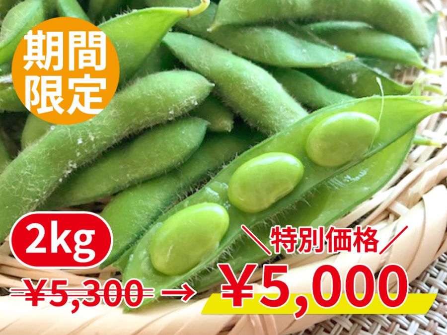 【特別価格】黒埼産 枝豆2kg