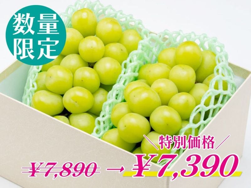特別価格｜シャインマスカット２房【贈答用】