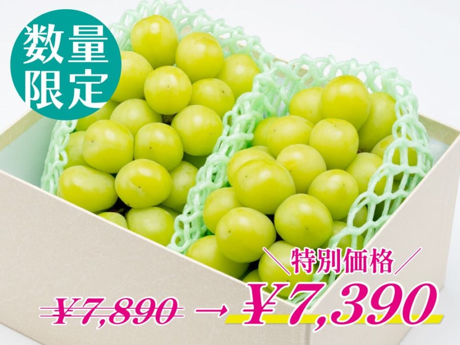 特別価格｜シャインマスカット２房【贈答用】