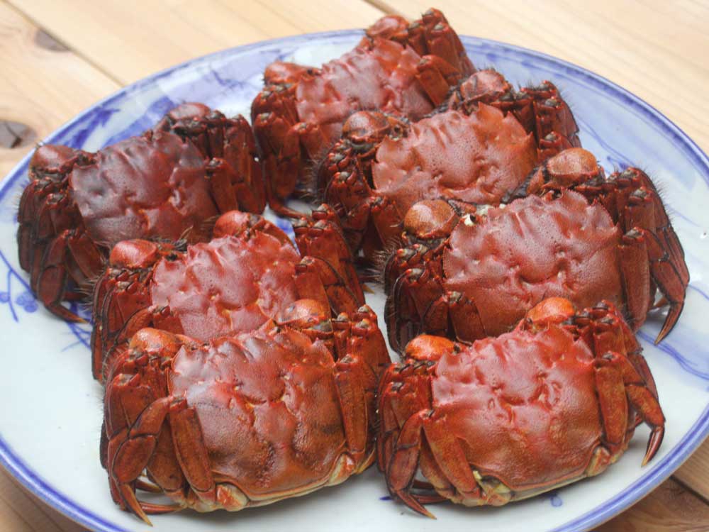 天然活きモクズガニ