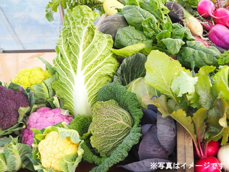 おまかせ野菜3,000円セット