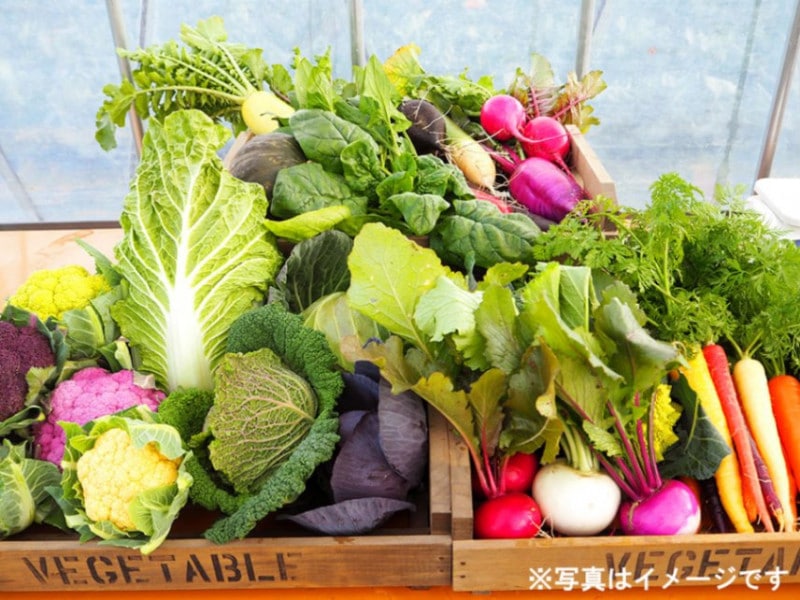 おまかせ野菜5000円セット
