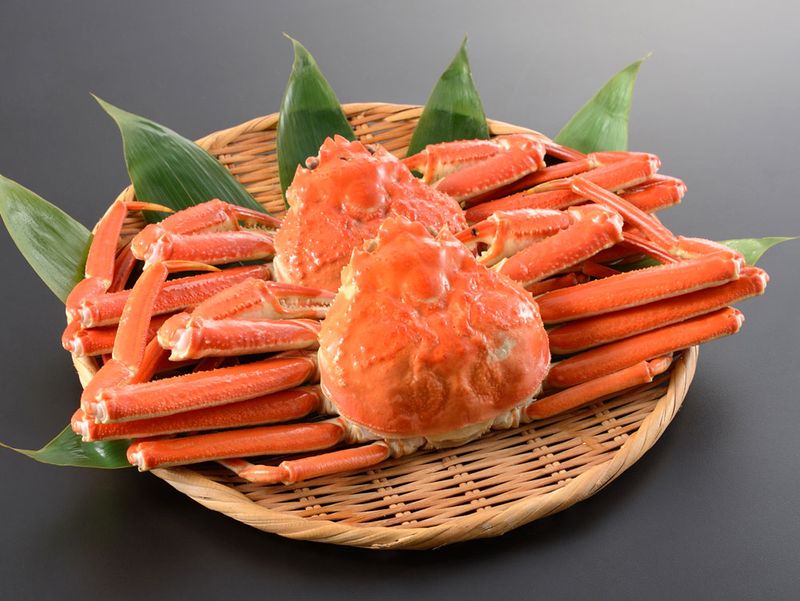 ズワイガニ姿2尾 (1.0kg)