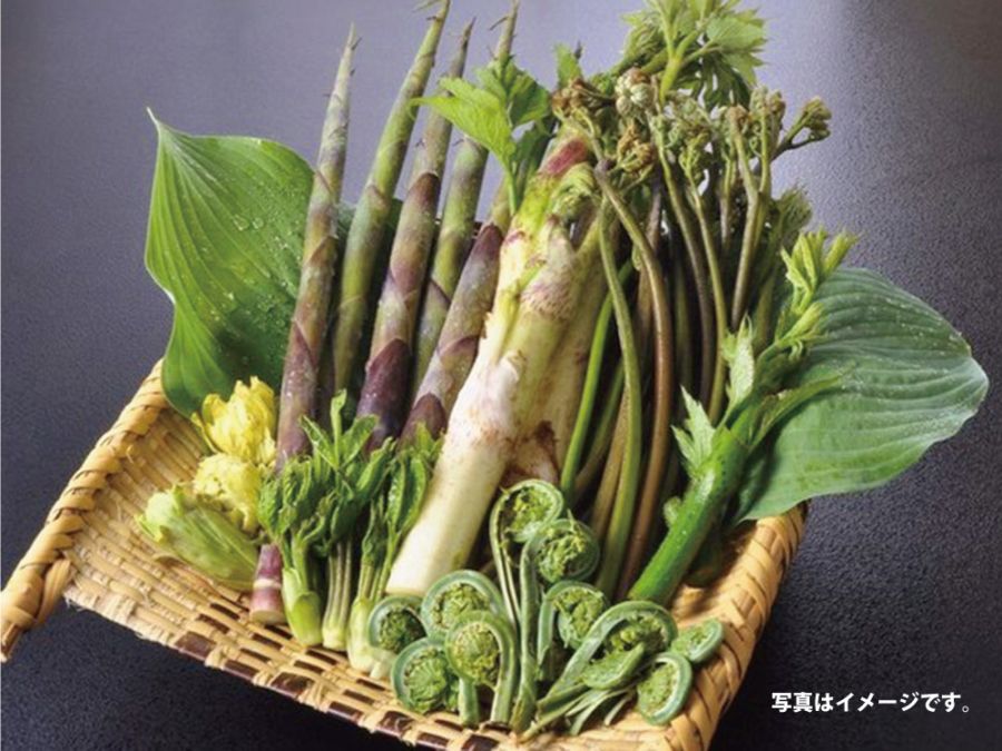 おまかせ 天然山菜詰合せセット