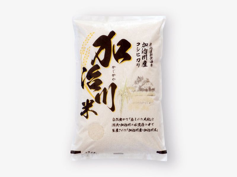 【令和7年産】加治川産加治川米コシヒカリ（精米５㎏）