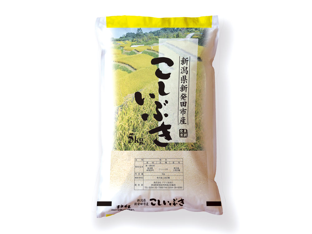 【令和7年産】新発田市産 加治川米こしいぶき（精米５㎏）