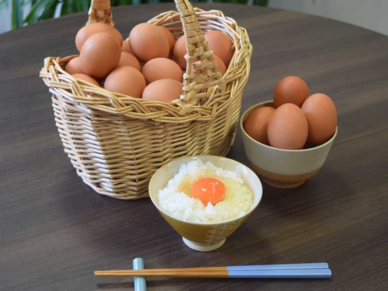 アスタキサンチン含有のアスタ卵(8個入り)×3パック（常温便)