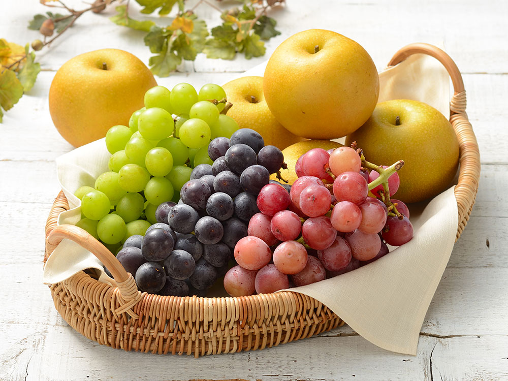 秋の味覚セット