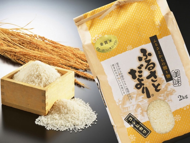 【令和8年産】新潟産コシヒカリ2kg（従来品種）