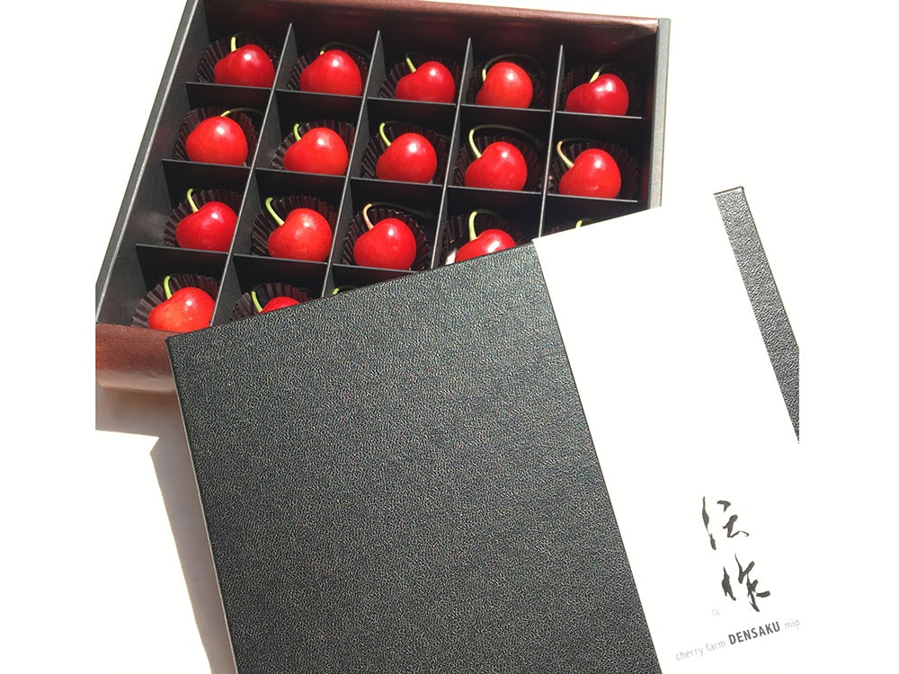 【数量限定】果樹の里　佐藤錦　PREMIUM GIFT BOX