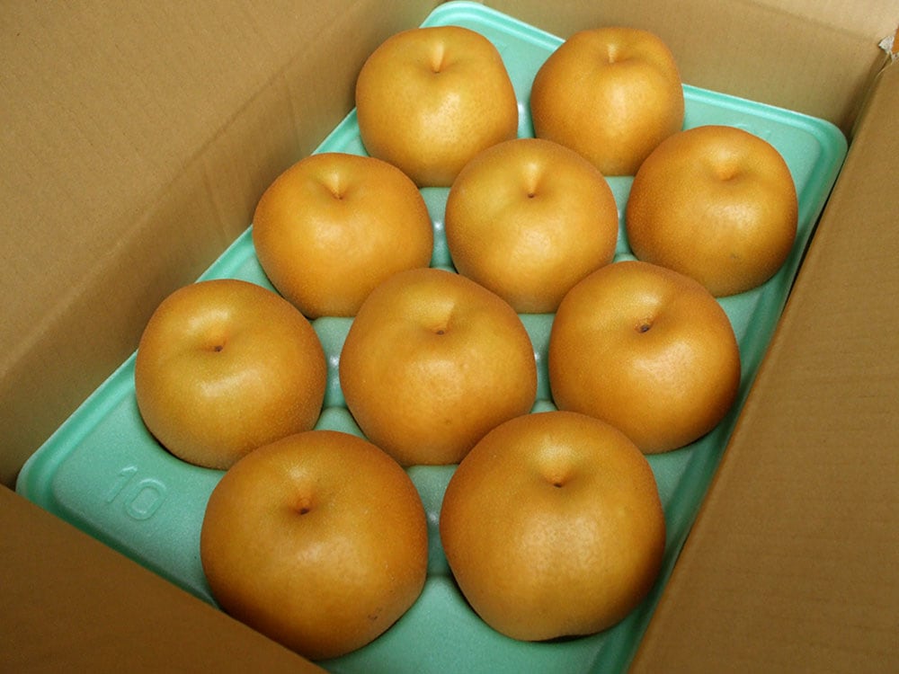 【家庭用】幸水梨5kg