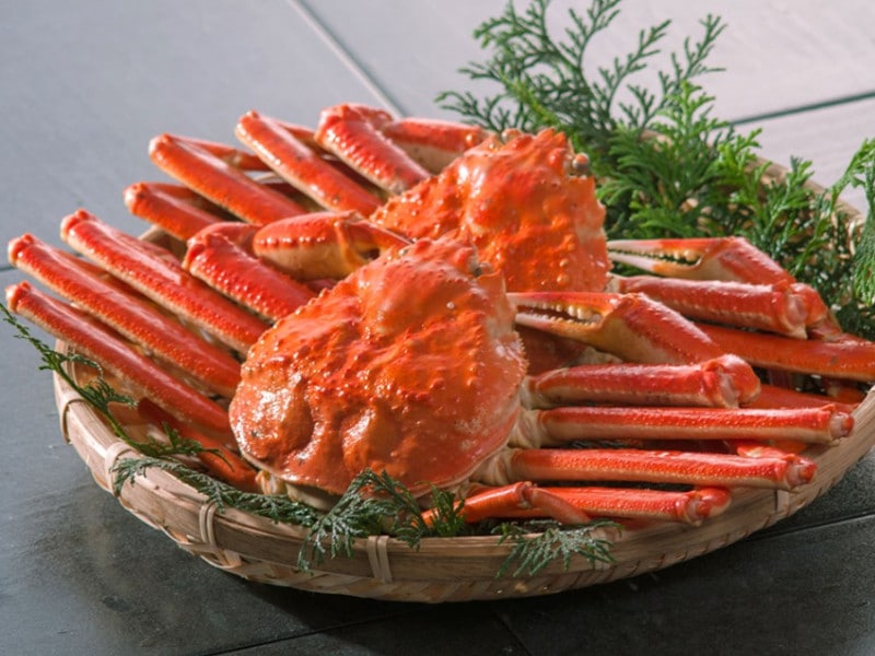 本ズワイ蟹 姿 2尾 総量1.2kg