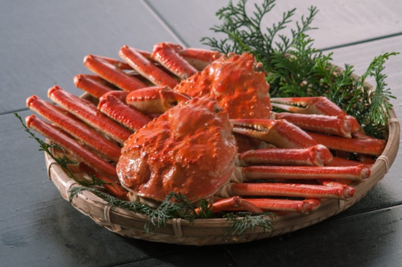 本ズワイ蟹 姿 2尾 総量900g