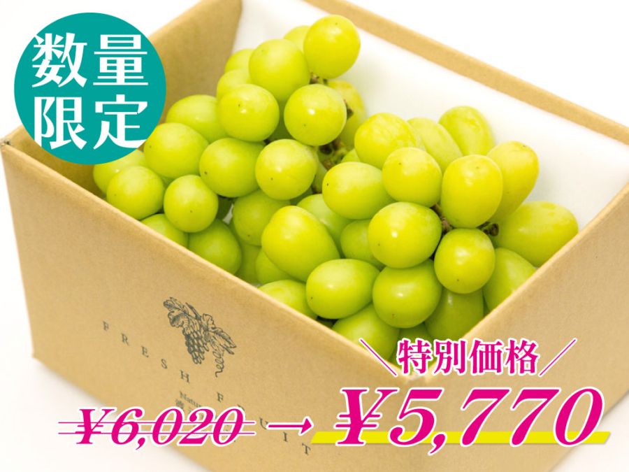 特別価格｜シャインマスカット2房　【家庭用】