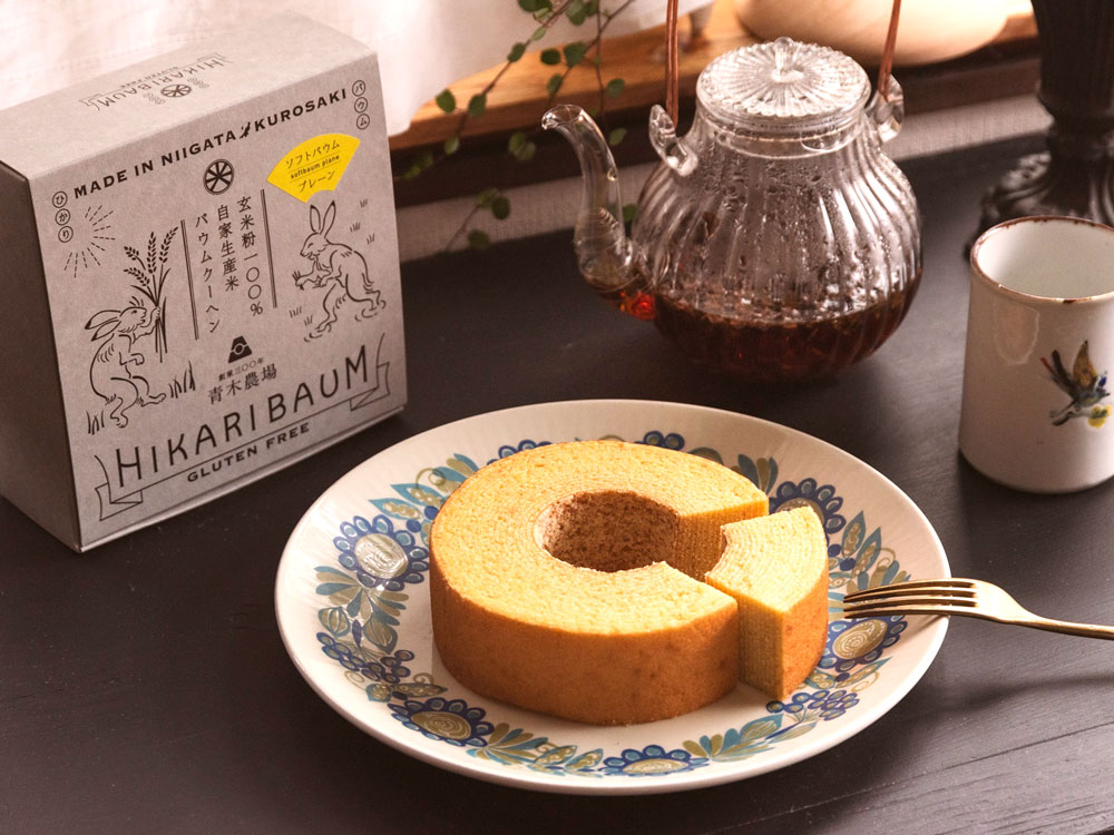 NIIGATAひかりBAUM（ソフト&ハード）