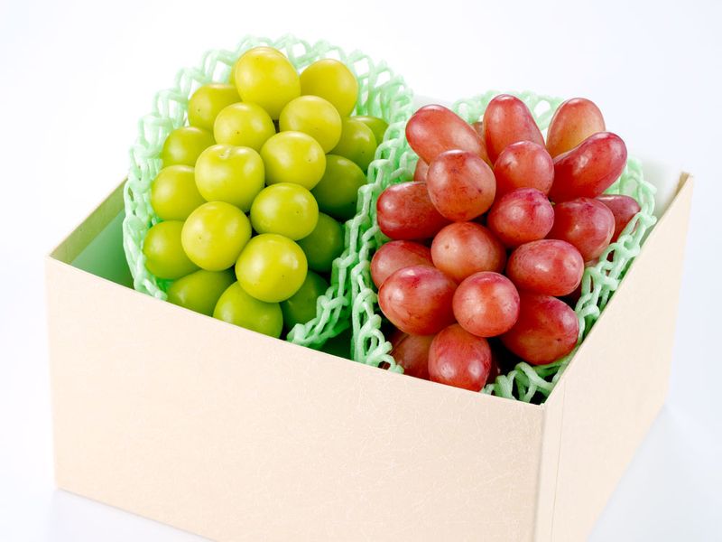 旬のブドウの詰合せ２房