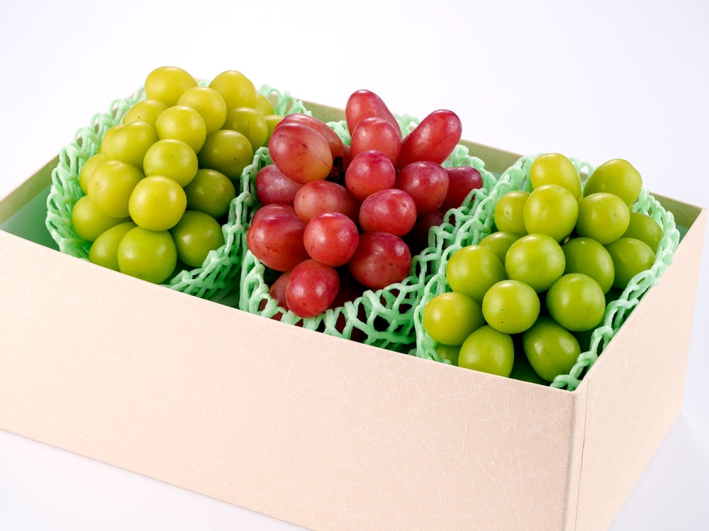 旬のブドウの詰合せ３房