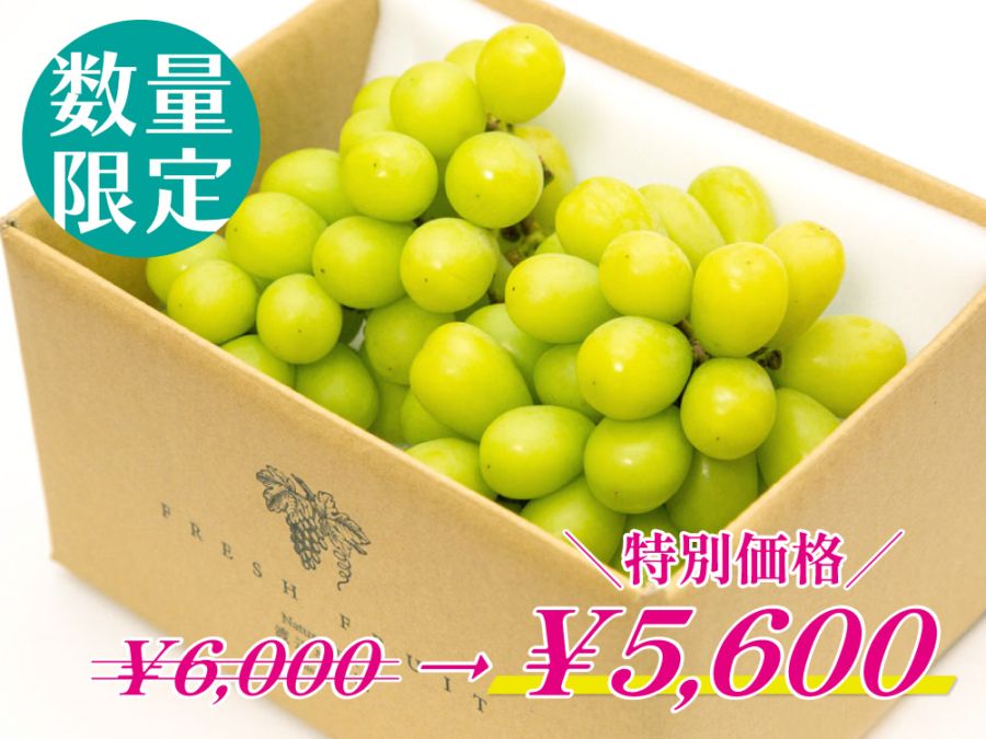【特別価格】シャインマスカット2房【家庭用】