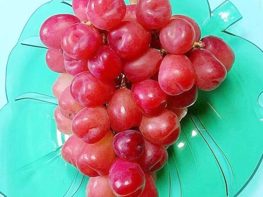 種なしマイハート 1kg