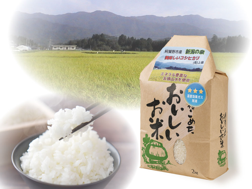 新米予約｜【2026年産】阿賀野産コシヒカリ 新潟の泉2kg