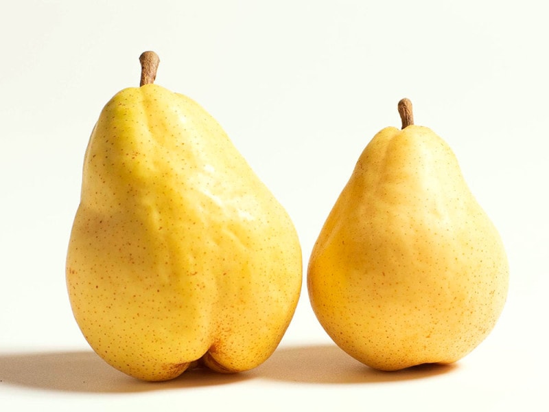 西洋梨【ルレクチエ】贈答用2㎏