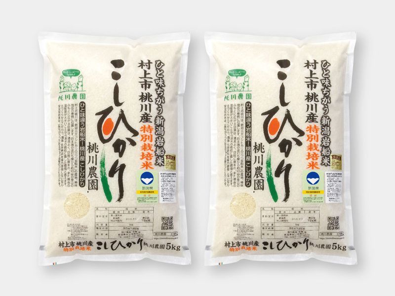 【令和7年産】岩船産特別栽培 コシヒカリ　10kg（5kg×2袋）
