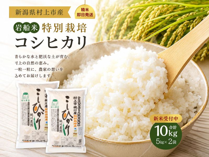 【2026年産】岩船産 特別栽培米コシヒカリ 10kg（5kg×2袋）