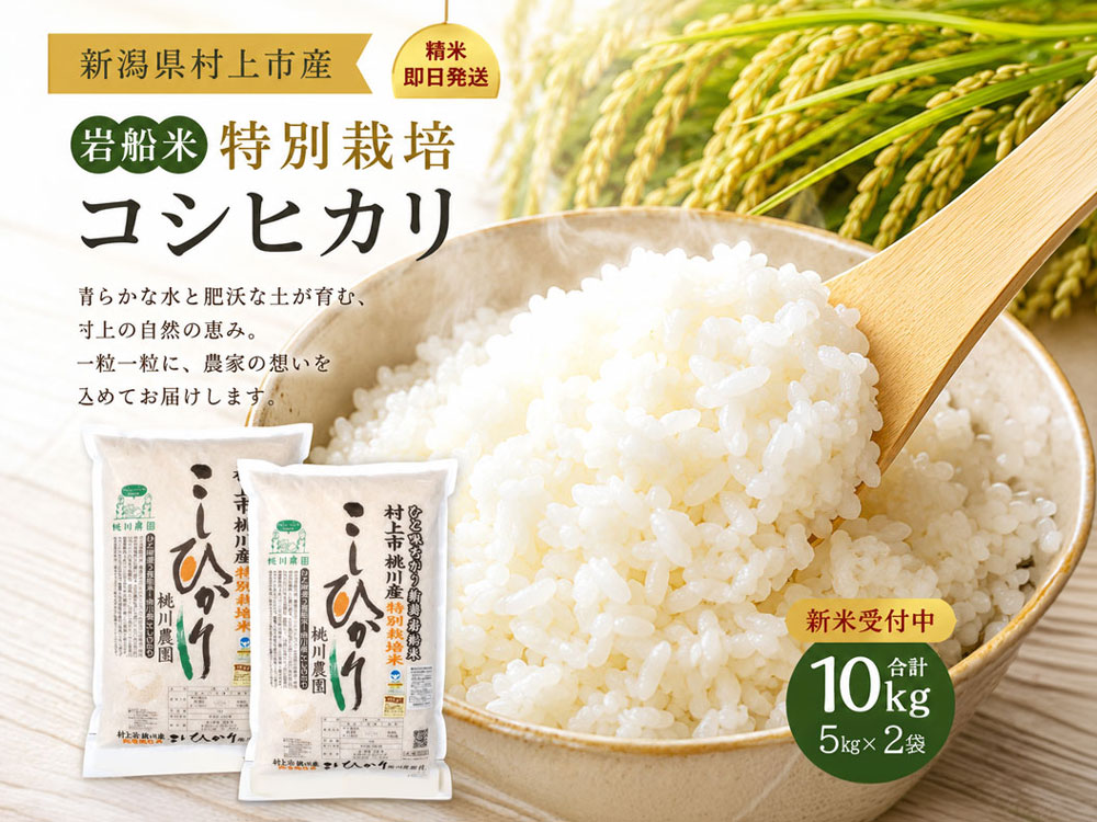 新米予約｜【2026年産】岩船産 特別栽培米コシヒカリ 10kg（5kg×2袋）