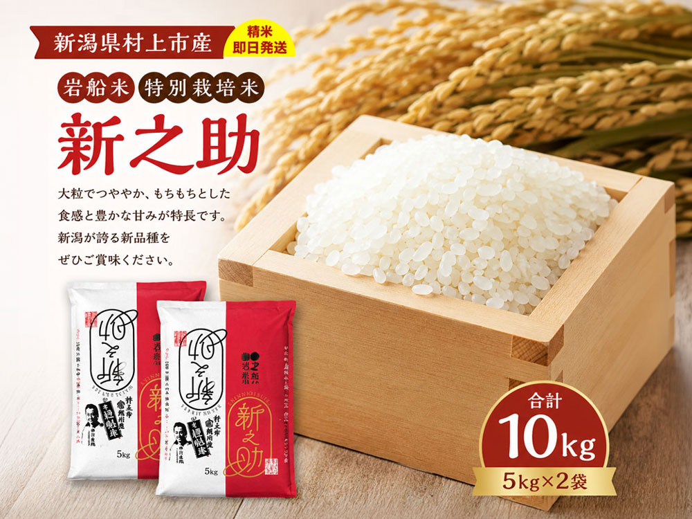 新米予約｜【2026年産】岩船産 新之助 10kg（5kg×2袋）