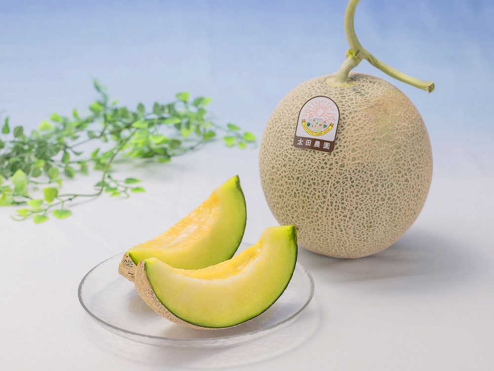 メロン ✨ メロン色々入荷しました！ 太陽の華 2玉入1箱7500円 太陽の華