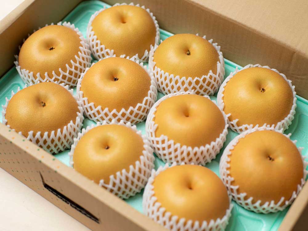 日本梨【あきづき】5㎏｜新潟の通販サイト「ガタ市」