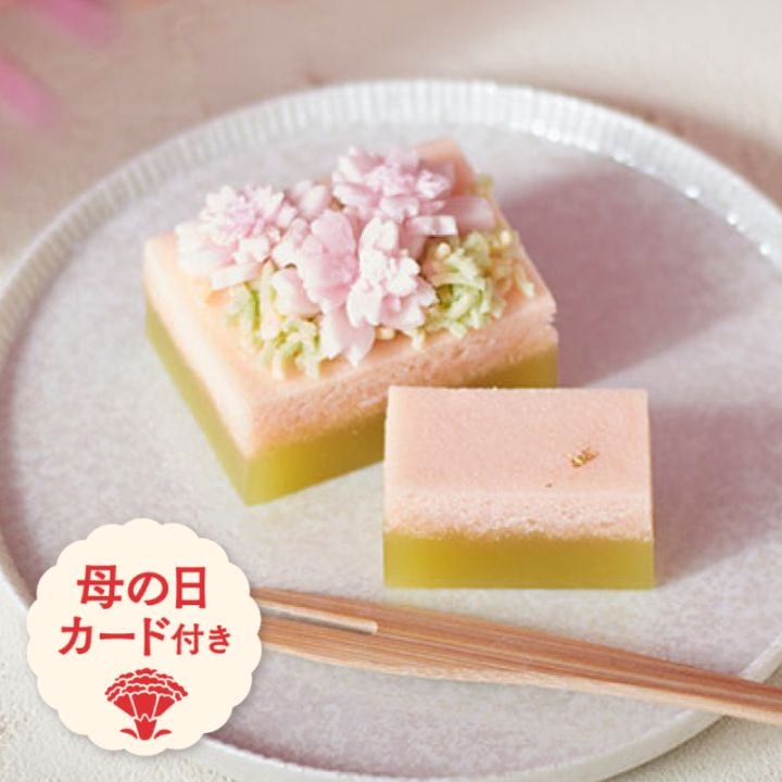 (2026母の日) 母の日カーネーション [A053BN]