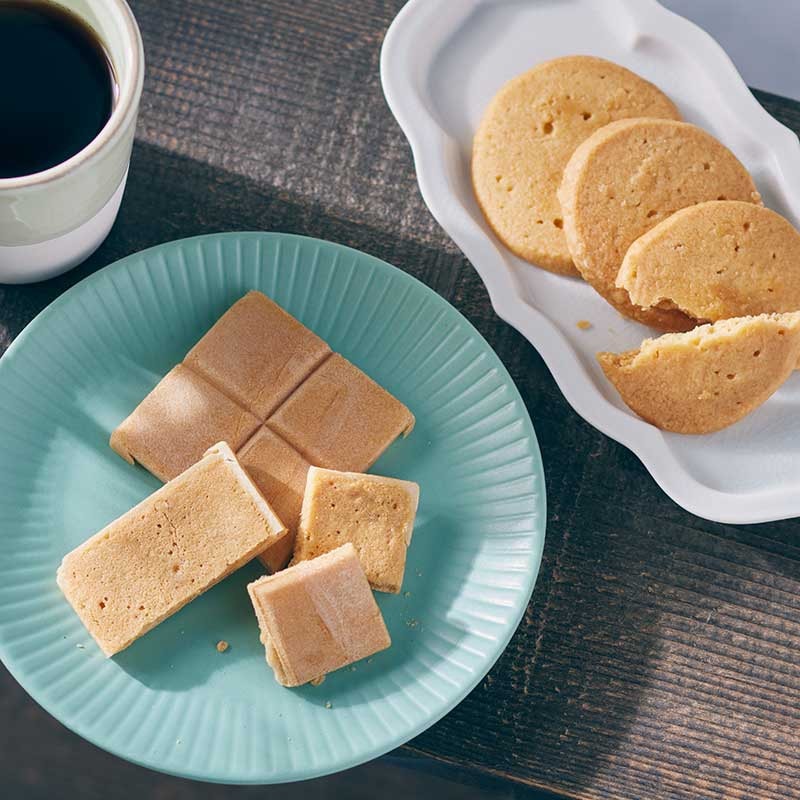 藻なかさぶれ・東太平洋セット 各10枚 [A066BN]